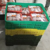 پخش گوشت تازه