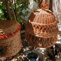 لوستر حصیری، نو