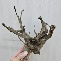 چوب آبنوس و شن آجری