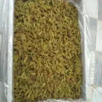 کشمش سبز پیکامی