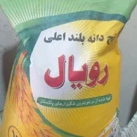 رویال ۱۱۲۱ پاکستانی ۲/۴۴۰/۰۰۰