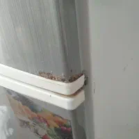 یخچال|یخچال و فریزر|سنندج, |دیوار
