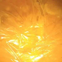 انبه فریز شده