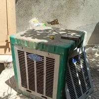 کولر