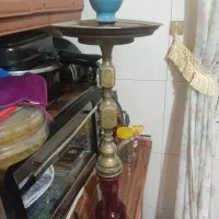 قلیان طعم دوسیب  برنجی