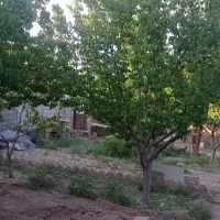 زمین ،باغ فروشی 500متری|فروش زمین و ملک کلنگی|مشهد, چهاربرج|دیوار