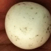 سنگ آسیاب