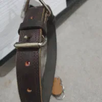غلاده سگ سرابی