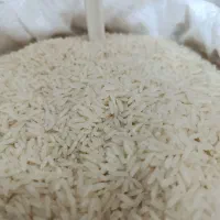 برنج مازندران بم تضمینی