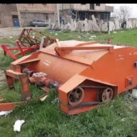برگ زن چغندر