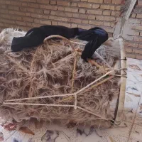 دمام|سازهای سنتی|دزفول, |دیوار