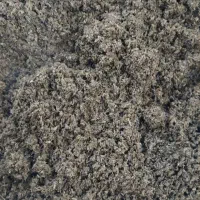 علوفه دام و گاو