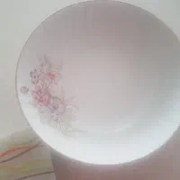 ظرف پذیرایی