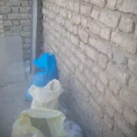 کود کبوتر|لوازم جانبی حیوانات|شاهرود, |دیوار