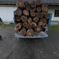 خرید و فروش انواع چوب های باغی