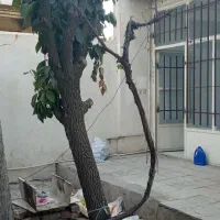 ویلایی۱۴۶ متر/۲ خوابه /با ۲ حیاط/ به قیمت آپارتمان