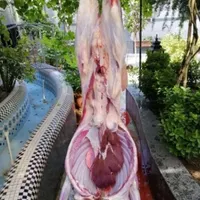 زیر فی بازار ،گوسفند چرا رفته با گوشت خوش طعم زنده