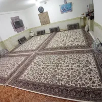 فرش ۷۰۰ شانه مشهد تراکم ۲۵۵۰