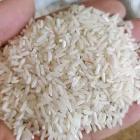برنج پاکستانی ثریا