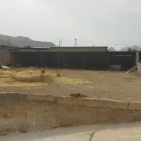 گاوداری صنعتی