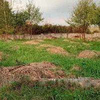 10-هزار-متر-زمین-سند