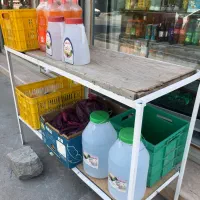 کسب کار|فروشگاه و مغازه|مهاباد (آذربایجان غربی), |دیوار