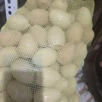 تخم مرغ سفالی