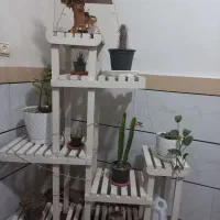 استند گل