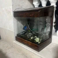 اکفاریوم با لوازمات