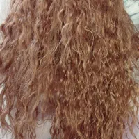 کلاه گیس