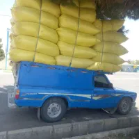 کاه گندم