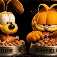 غذای گرم و سرد سگ و گربه کیلویی 100 تومان