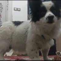 فروش یا معاوضه