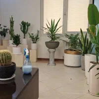 خدمات باغبانی باغچه گلدون وهرسکاری سم پاشی