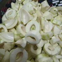 انبه‌|گل و گیاه طبیعی|رودان, |دیوار
