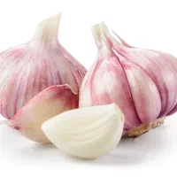 سیر محلی