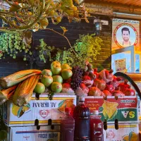 کمک آشپز و گارسون رستوران گیاهی