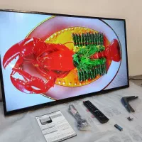 LED43ایکس ویژن.درحدآک واقعی نونو با کارتون