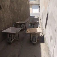 فرغون ضخیم