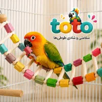 فروش اسباب بازی طوطی ویژه