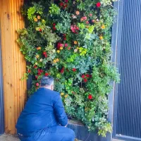 خدمات باغبانی و گلکاری هرس کاری باغچه کاری