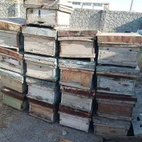 کندوی خالی زنبور عسل