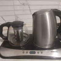 چایساز گاسونیک