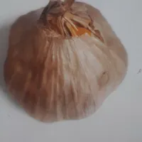 سیر سیاه درجه یک|خوردنی و آشامیدنی|تهران, آبشار|دیوار