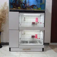 قفس جفت کن پرنده