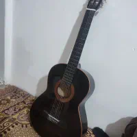 گیتار دیاموند خشک