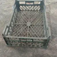 قالب سبد میوه