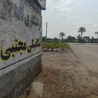 نیازمند استاد صافکار ونقاش