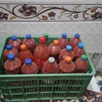 بهترین رب خانگی