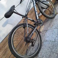 دوچرخه ۲۴